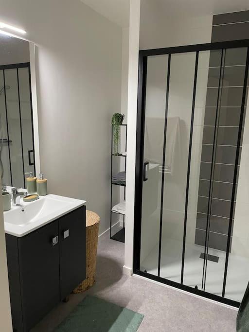 Superbe Appartement En Residence Avec Parking Λε Μανς Εξωτερικό φωτογραφία
